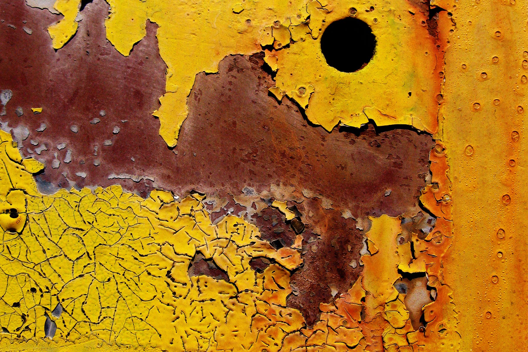 Opening – Susanna Dougles