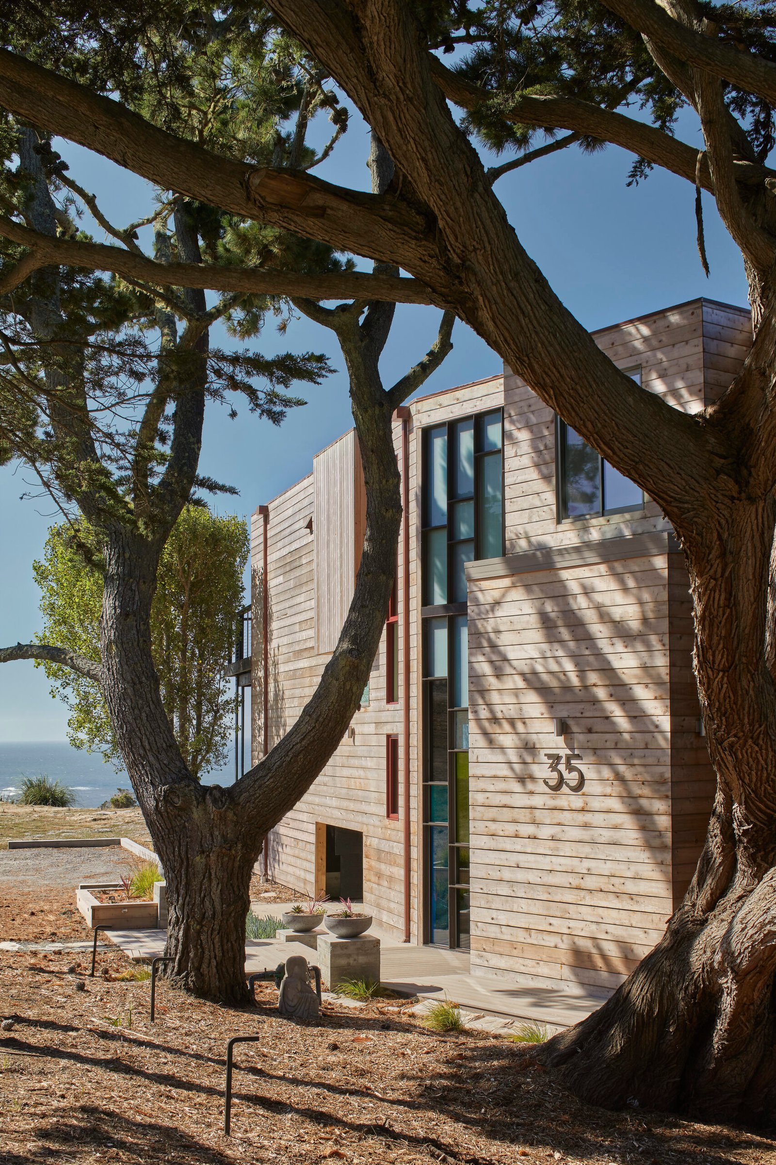 Queen of Bolinas